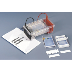 Electrophoresis Apparatus